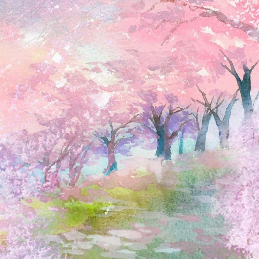 寒曦