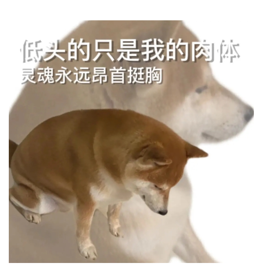 瑜团团团团