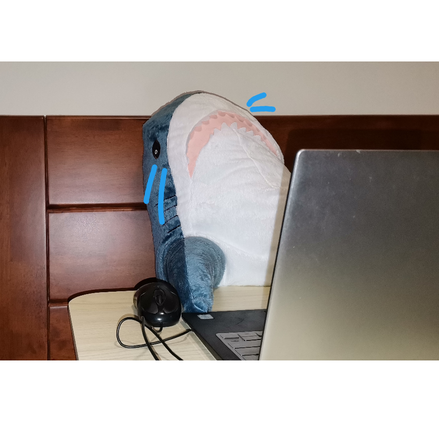 鲨包这么大的拳头你见过没