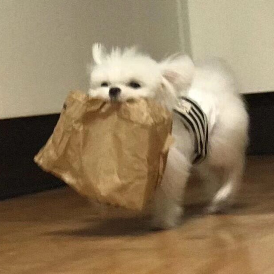 车失轶