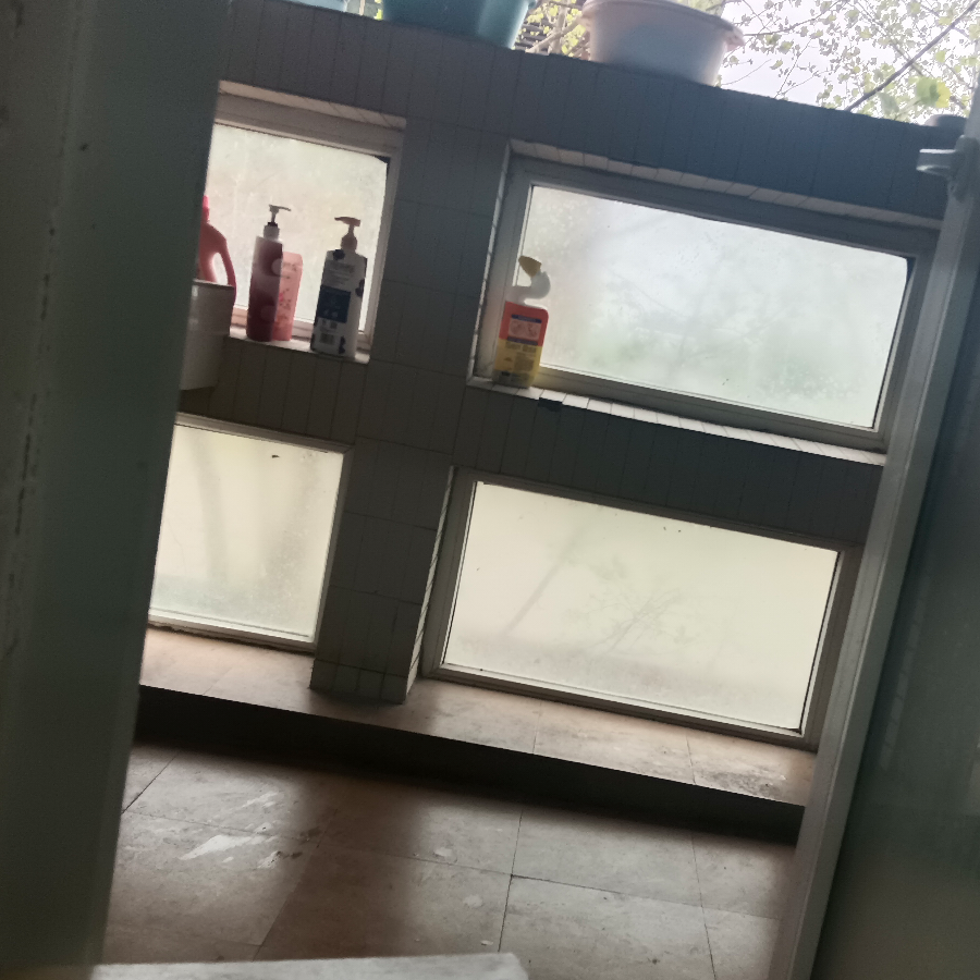 一只阳