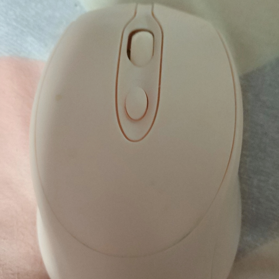 夏枯草