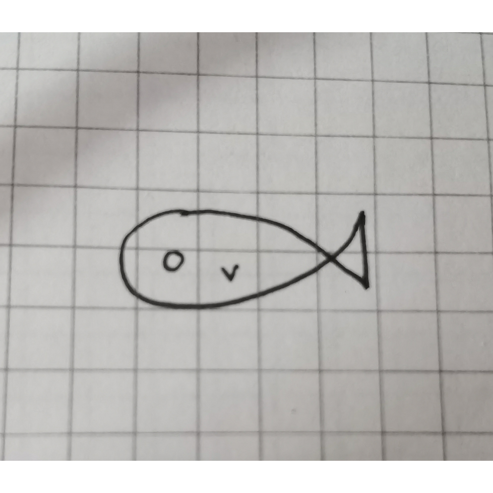 春秋想要变成一条大锦鲤