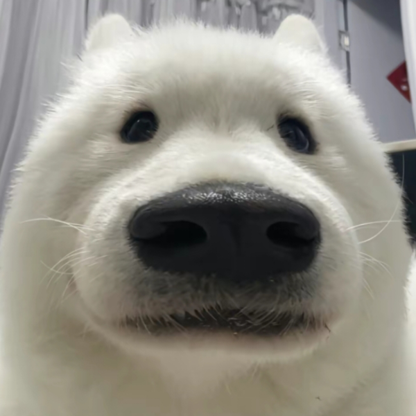 瓜
