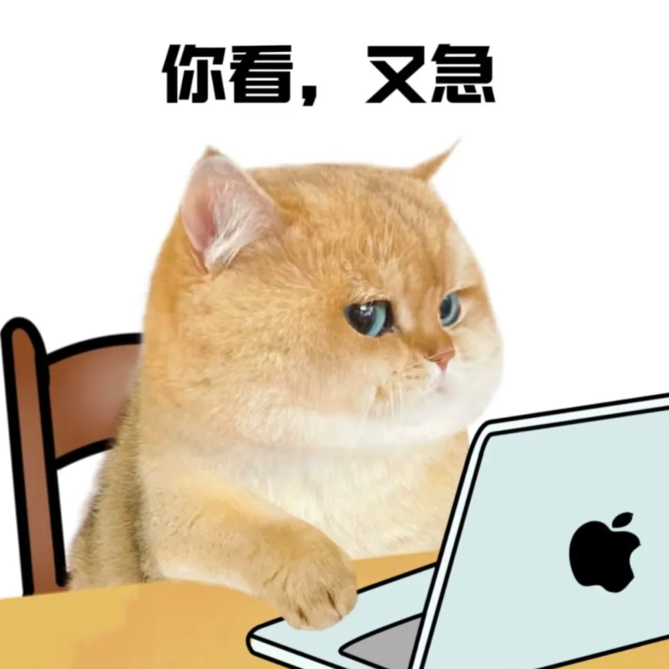 猫咪雪饼