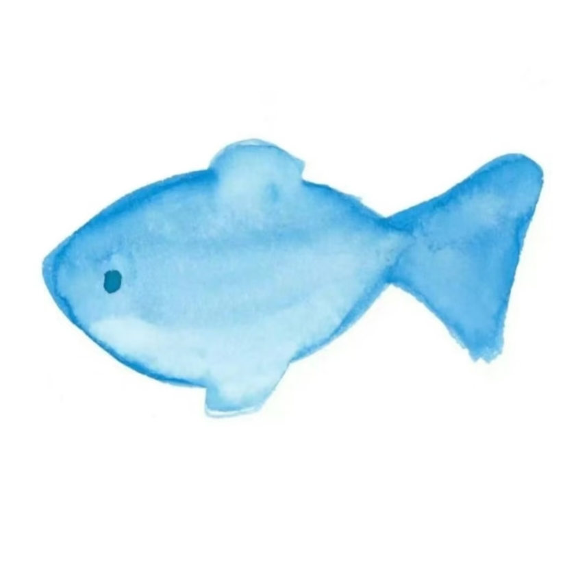 小鱼