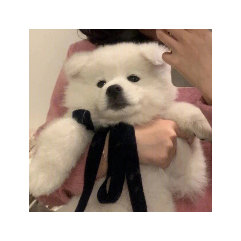荒凉