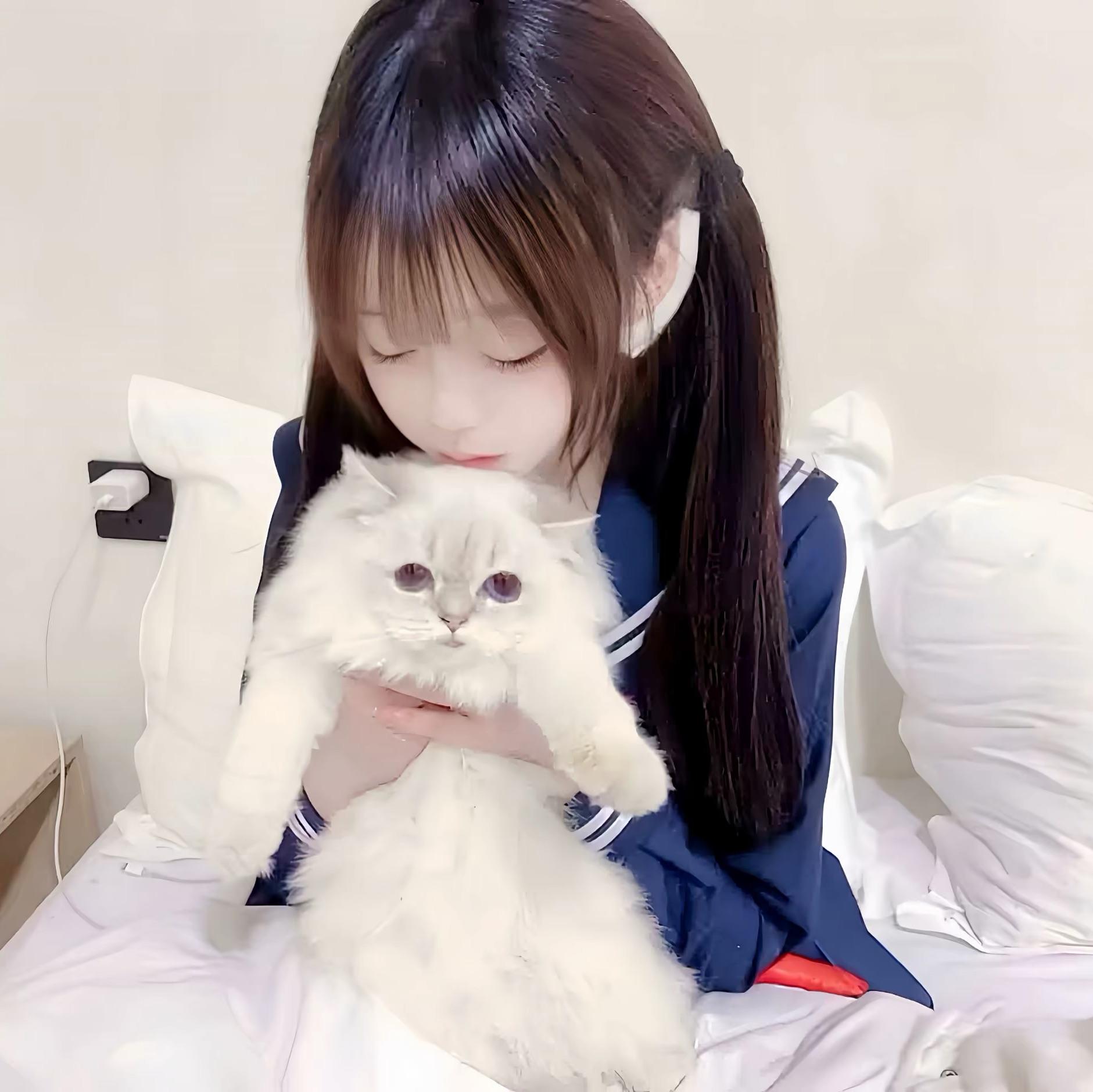 豪