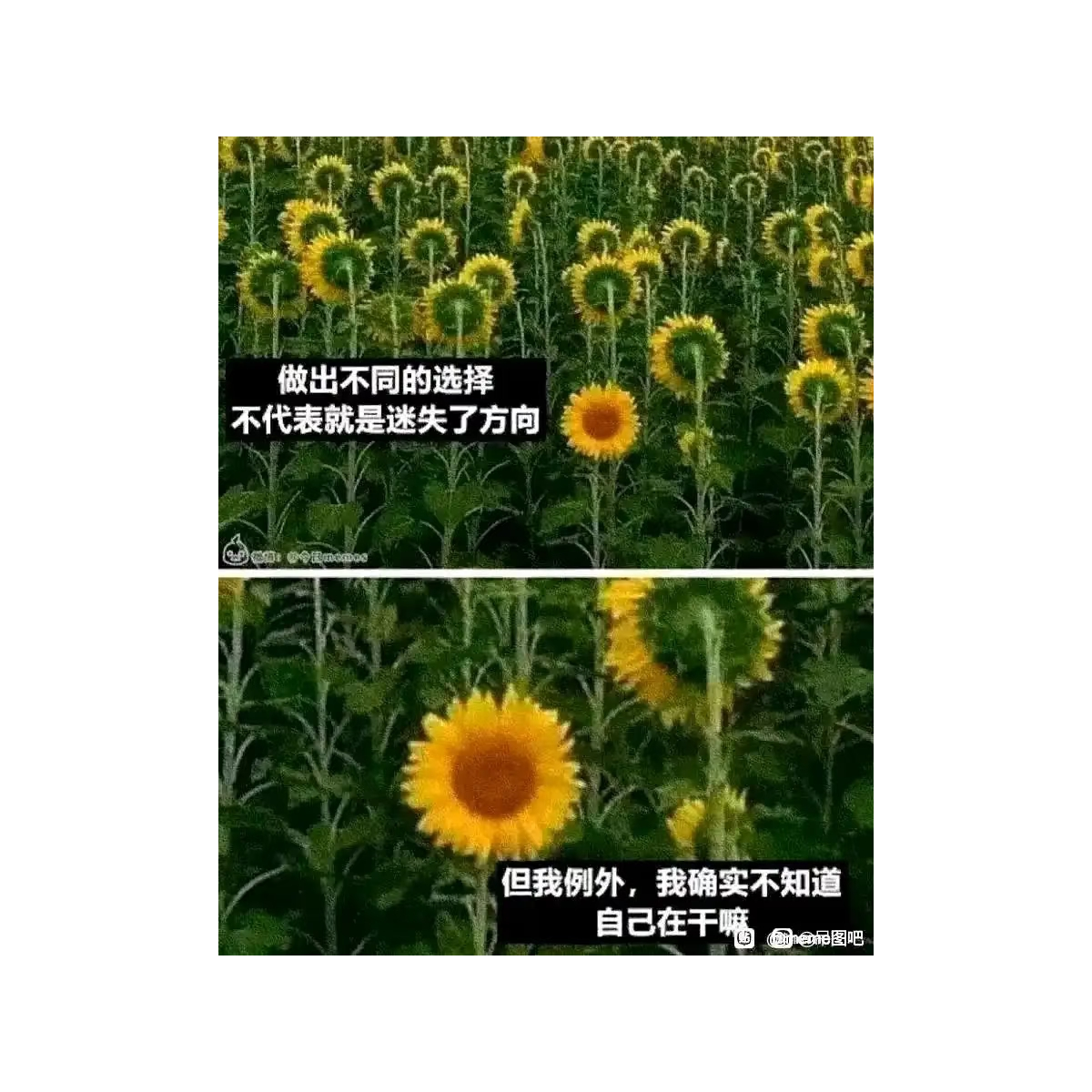 人间第一汽锤