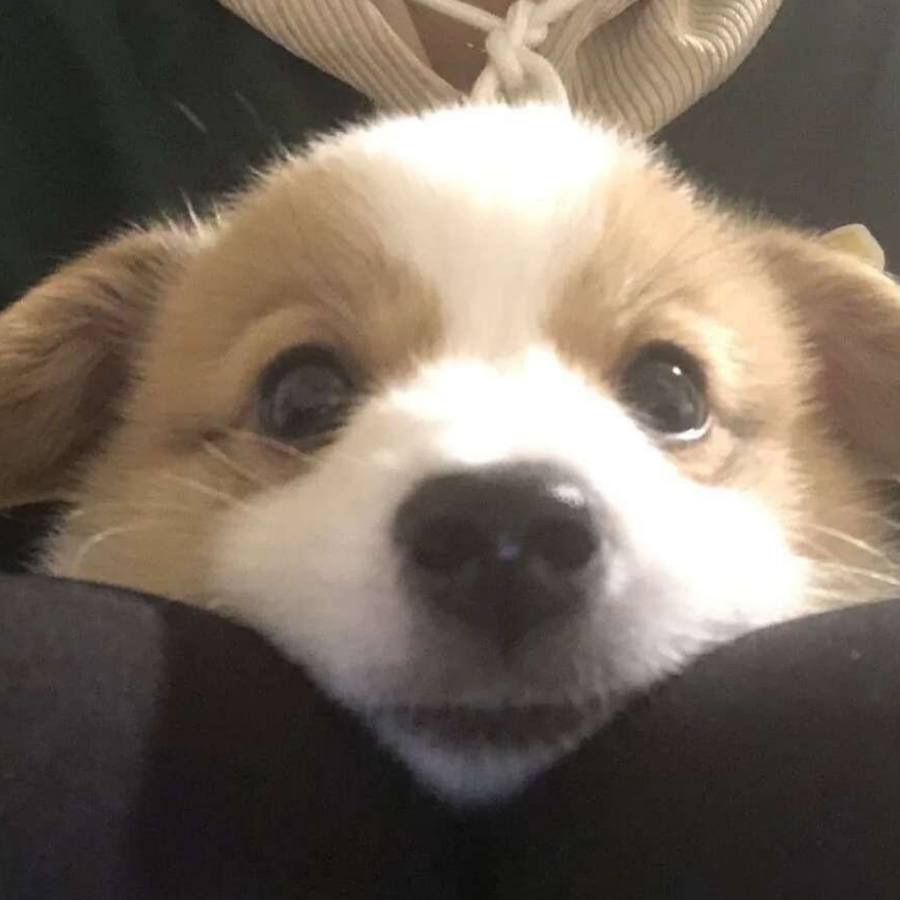 .