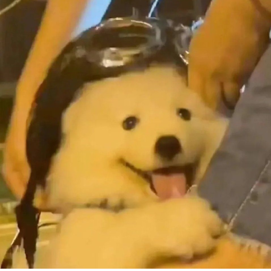 石榴