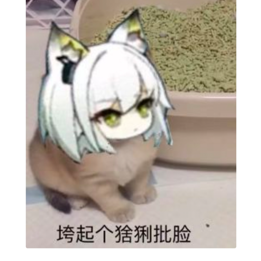 蓄意轰拳