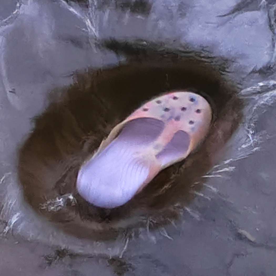 土豆.