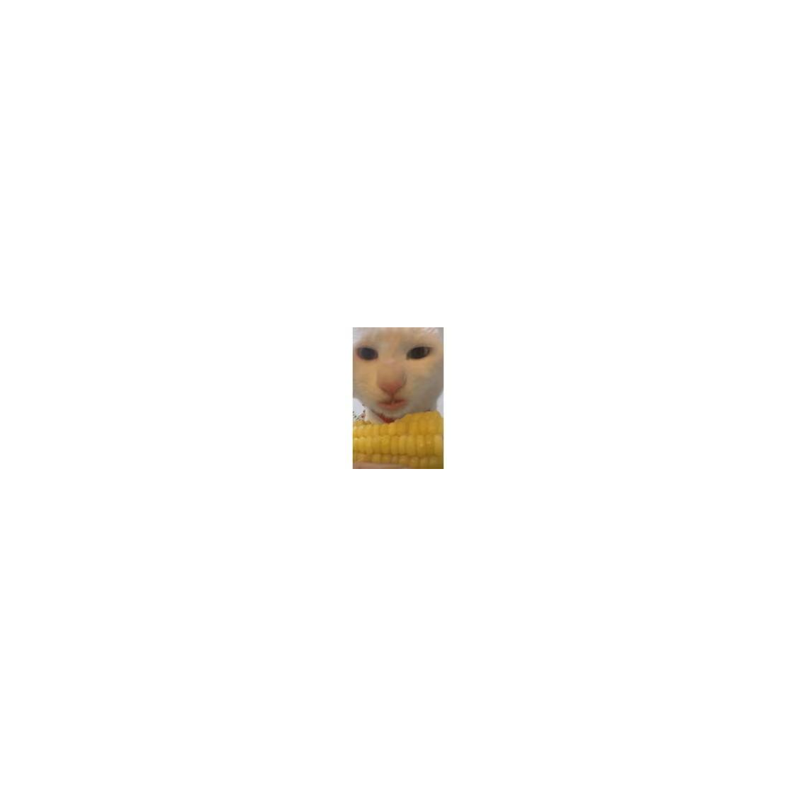 666