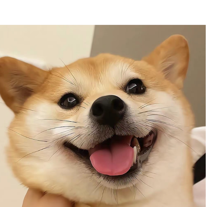 湖呼虎