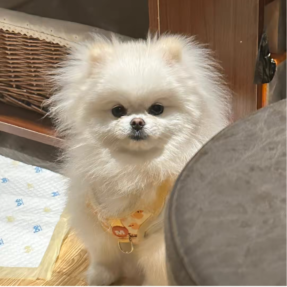 知闲