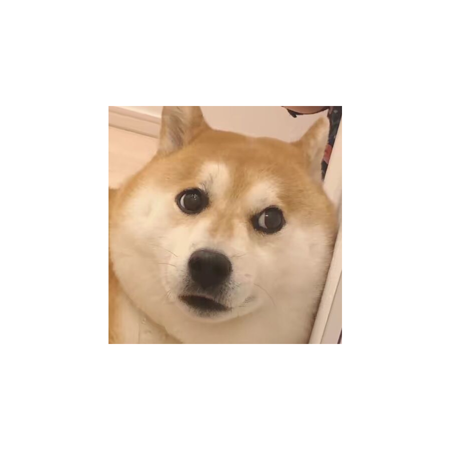 顺肛渺沙