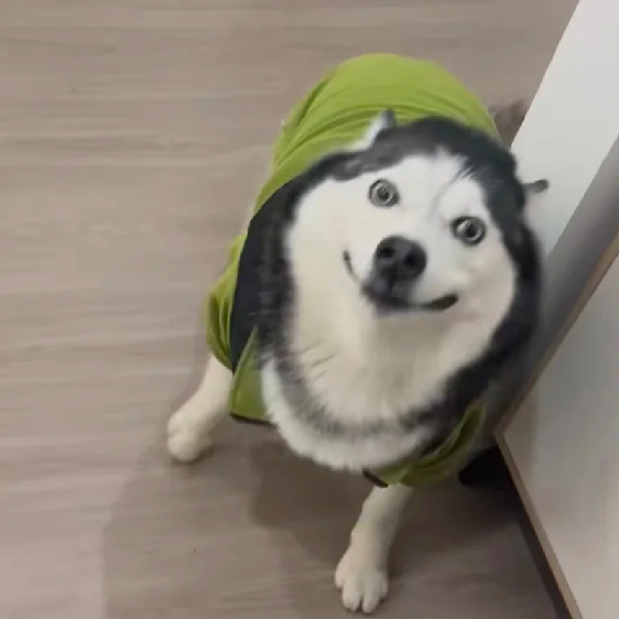 低调