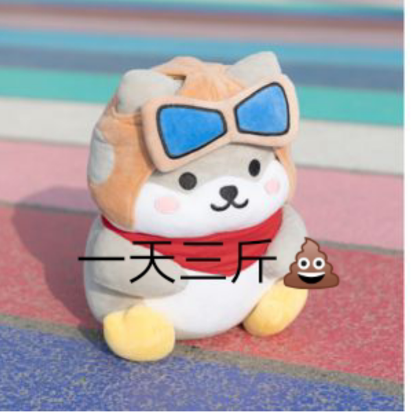 流年不夏爱吃粑粑