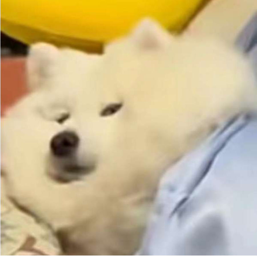 人海