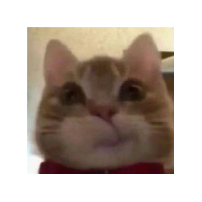 默。