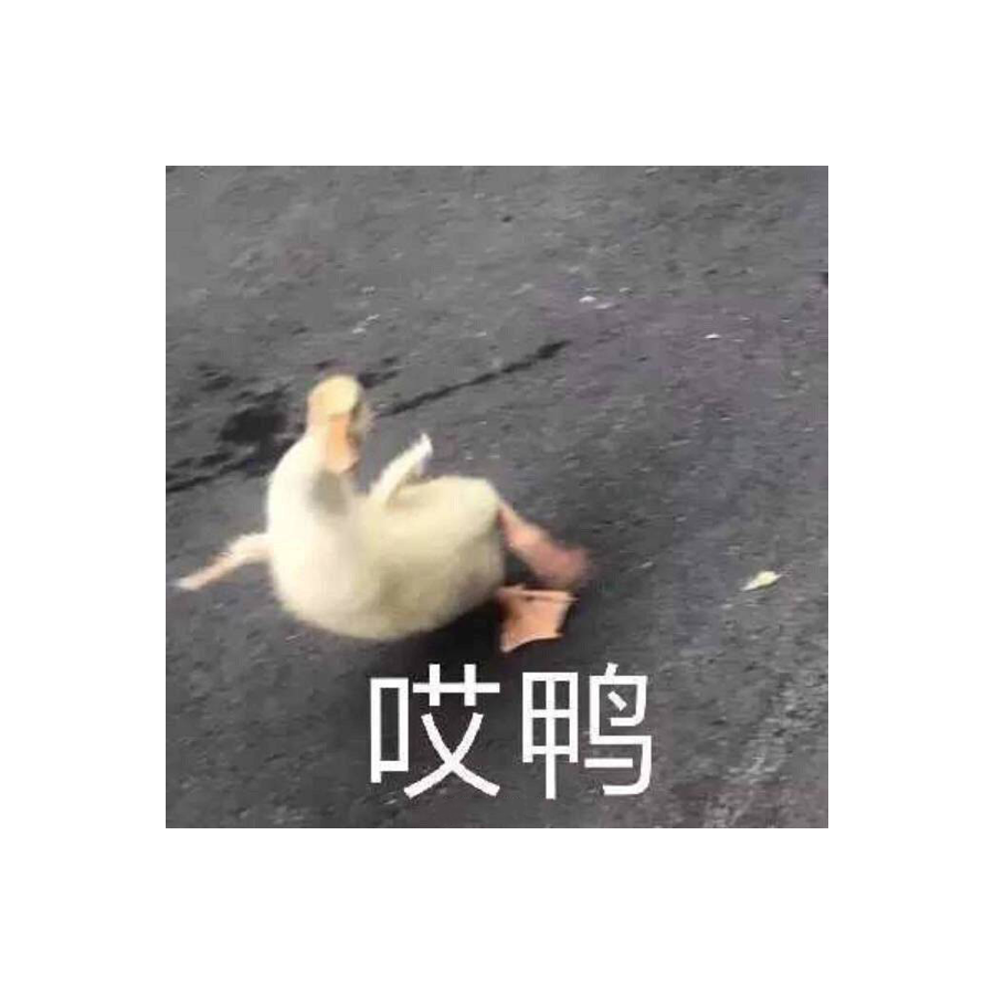 我才不要取名字！