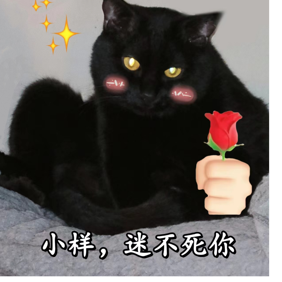 苏九儿er