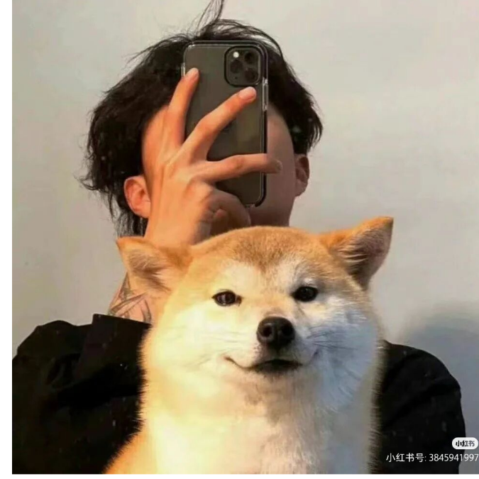 凡尘小道士