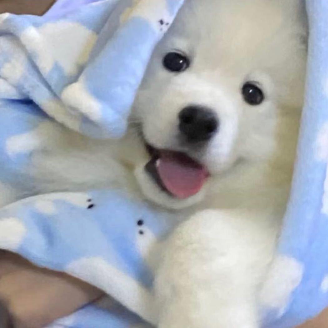 ¥¥¥¥¥