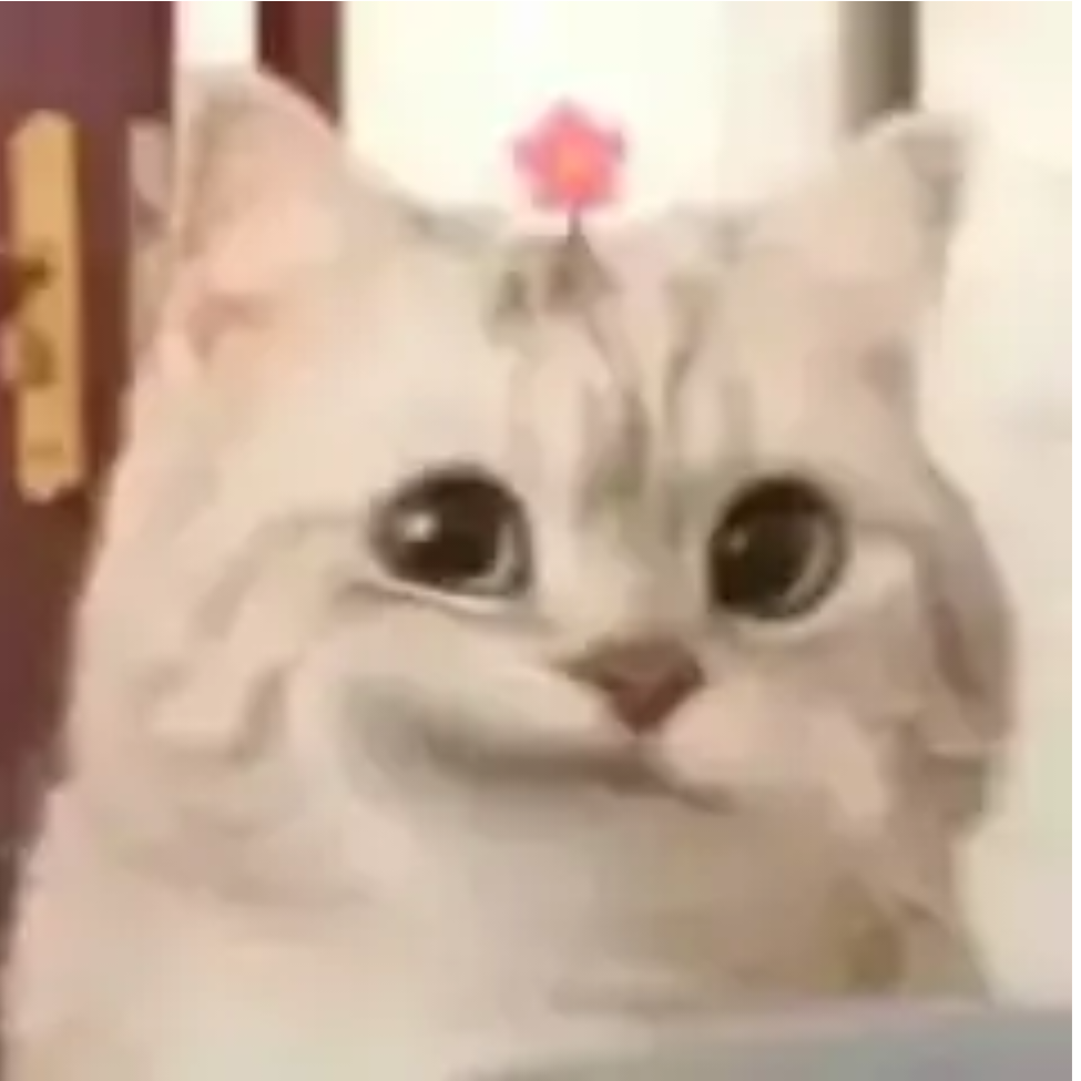 幻羽