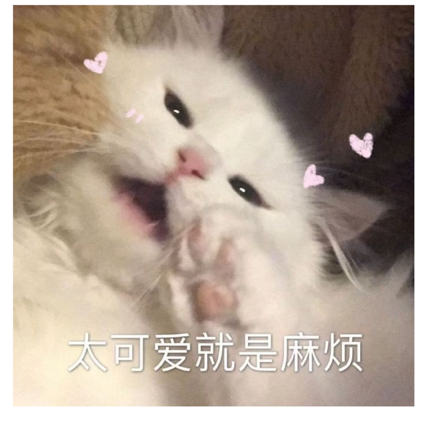 🐷棒打强狗🐶