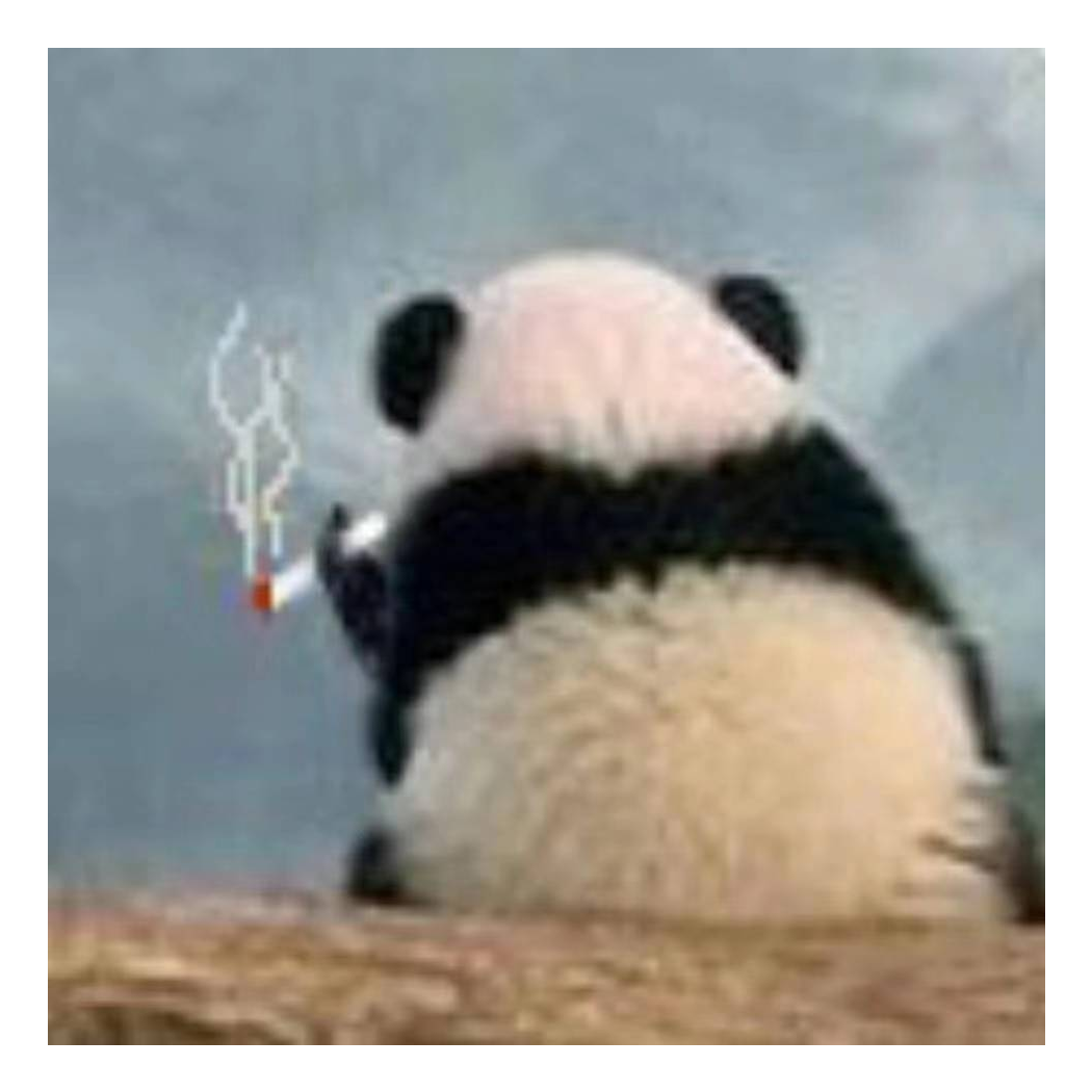 十八