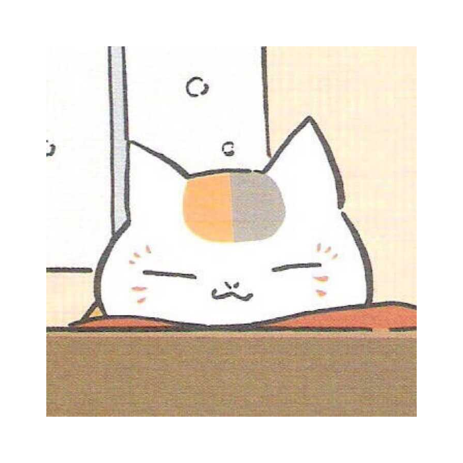 猫咪老师