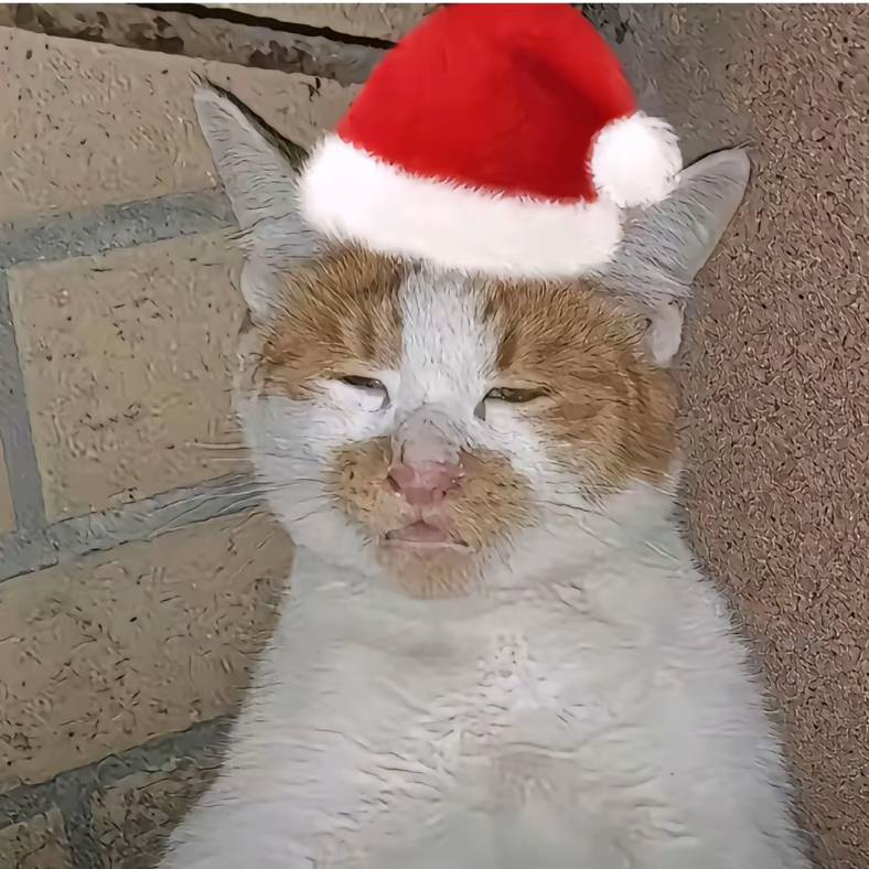 理塘最強伝説絶兇猛虎純真丁一郎