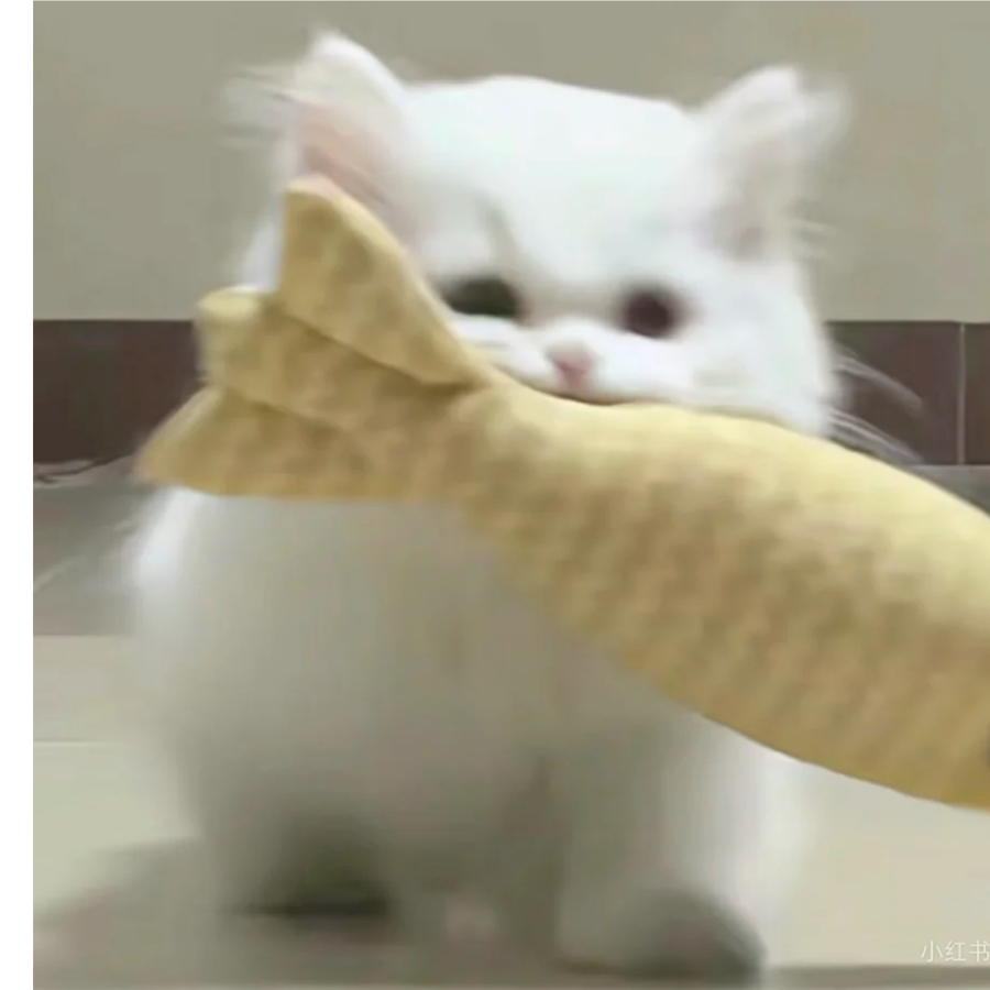 染木苏T^T