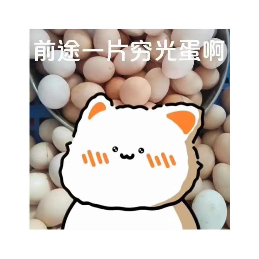 前途一片穷光蛋啊