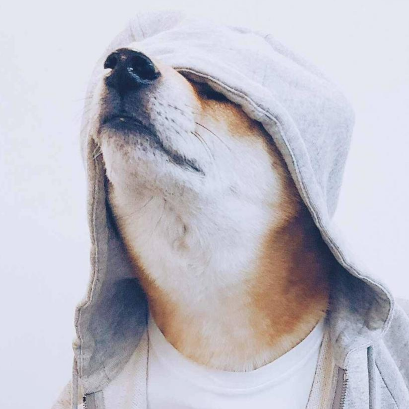 WEN丶阳阳阳