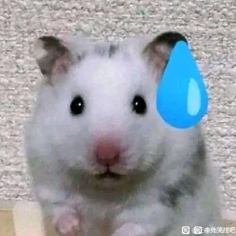 不想玩辣