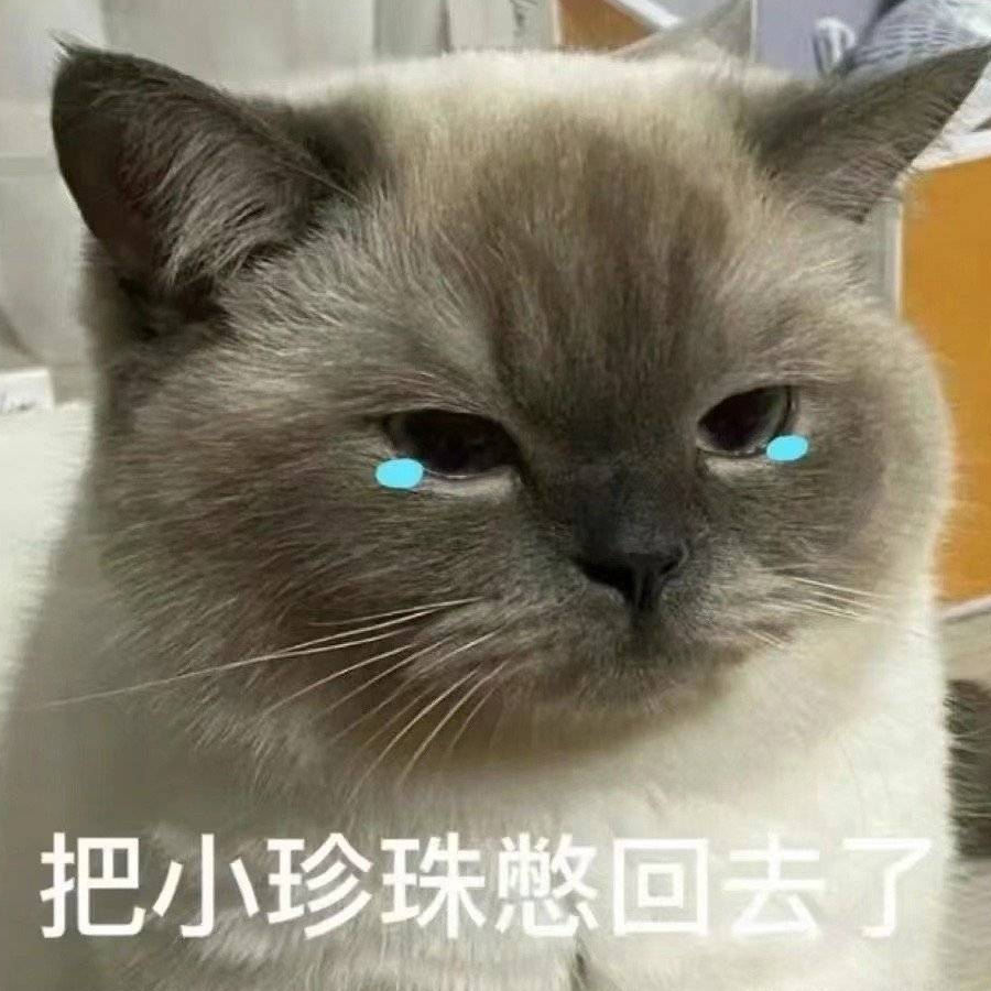 啊这薄荷狸叭