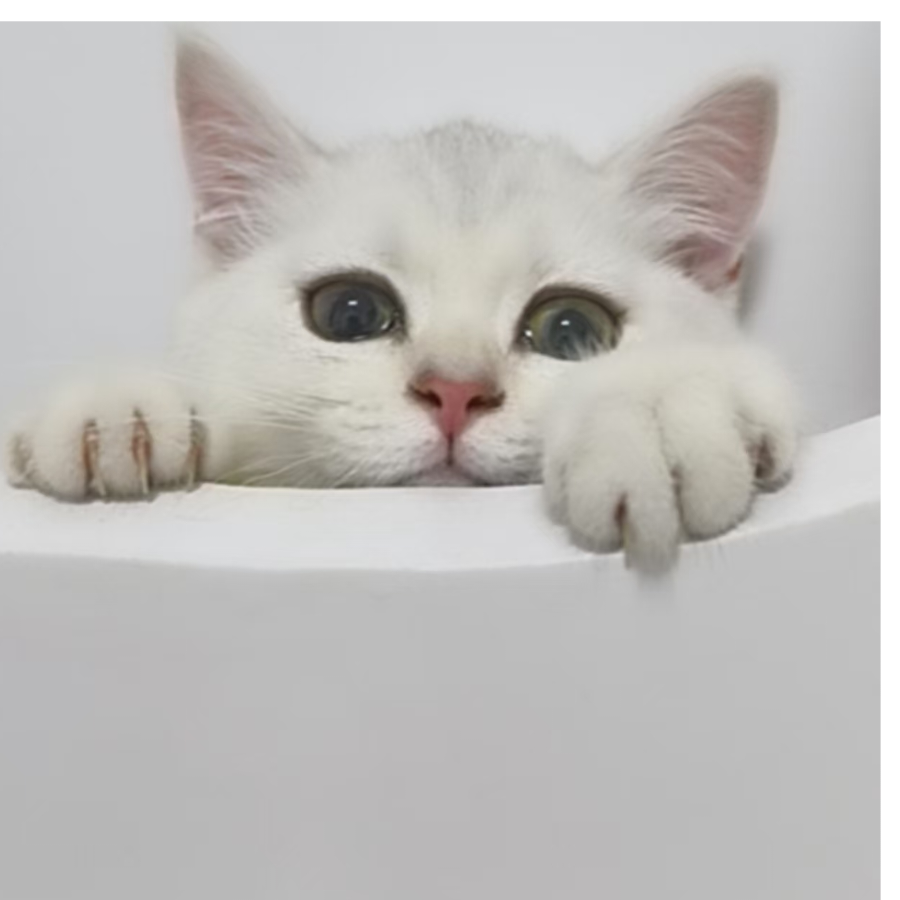 tieyu