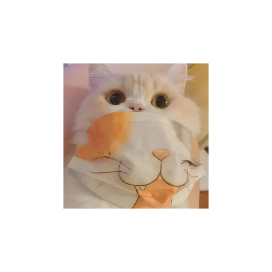 阳阳