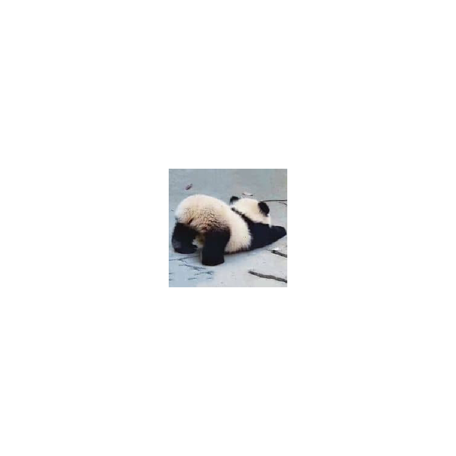 ╭★