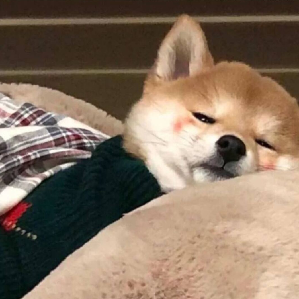 诗酒