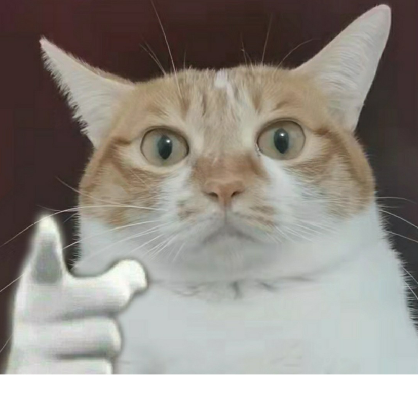 猫猫头压迫
