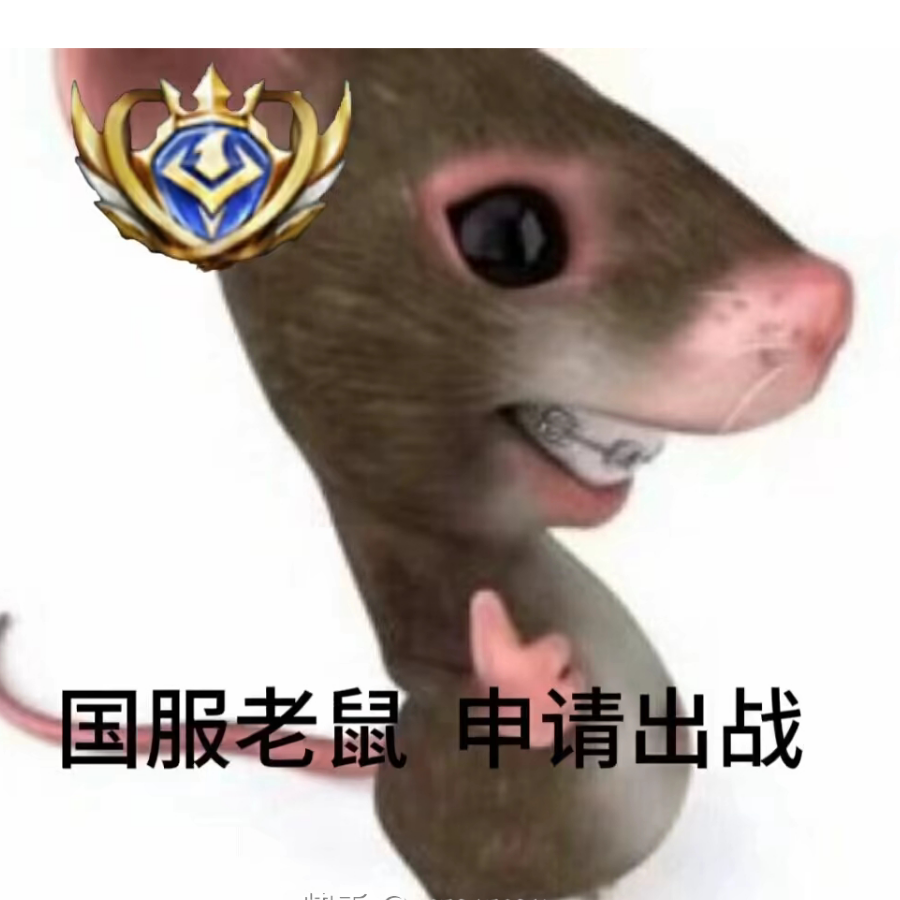 回答