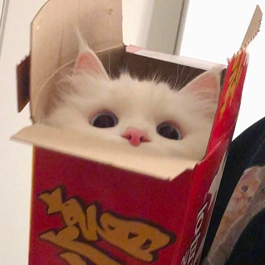 沫兮