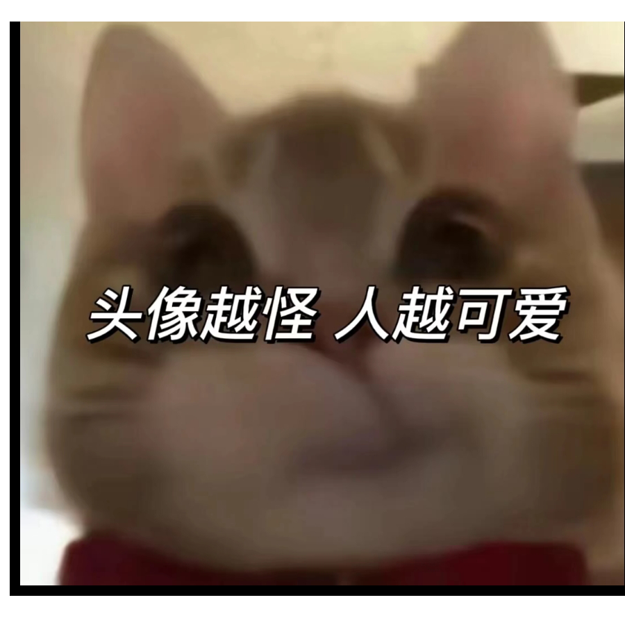 潘红