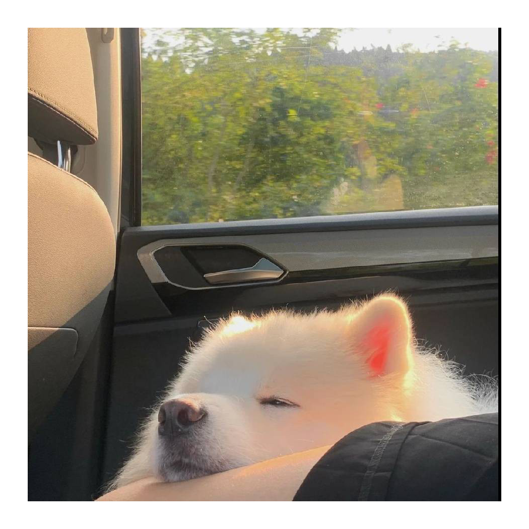 梦