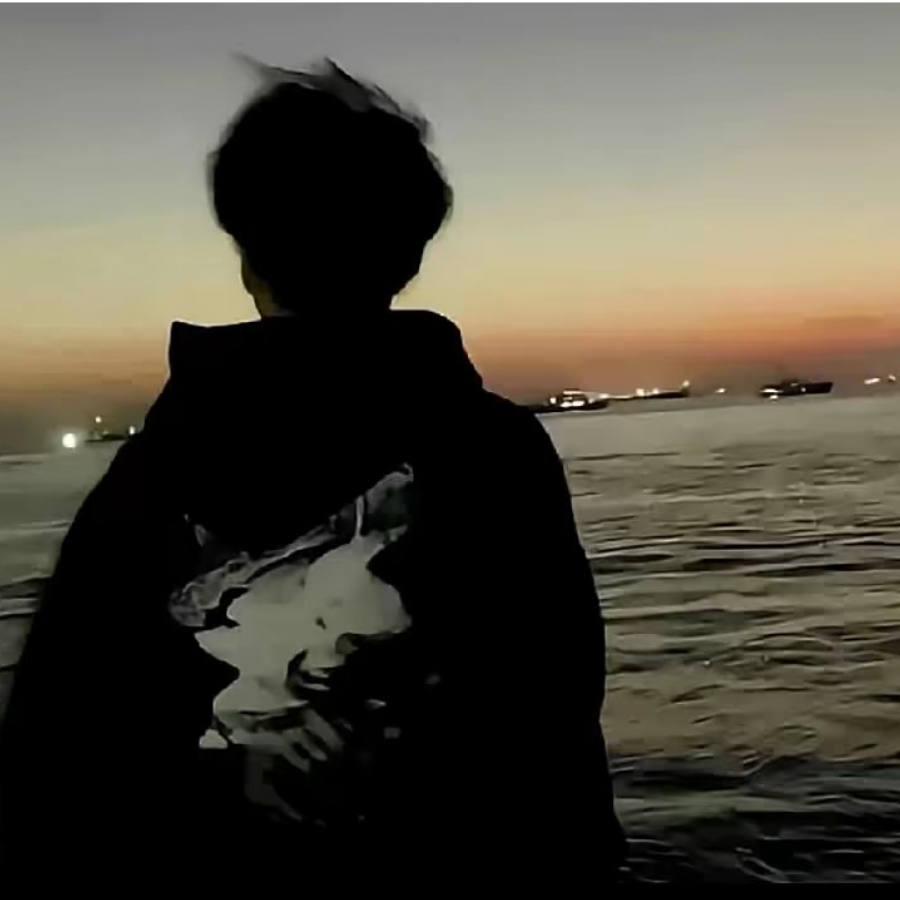 海