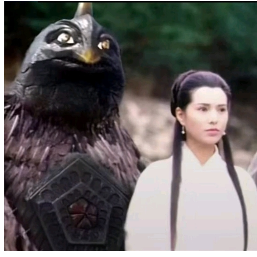 神雕侠侣